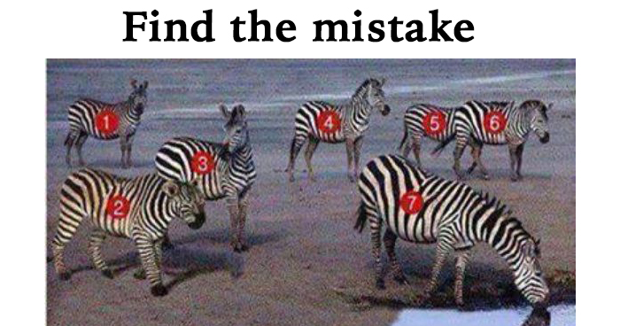 find-the-mistake-in-this-picture